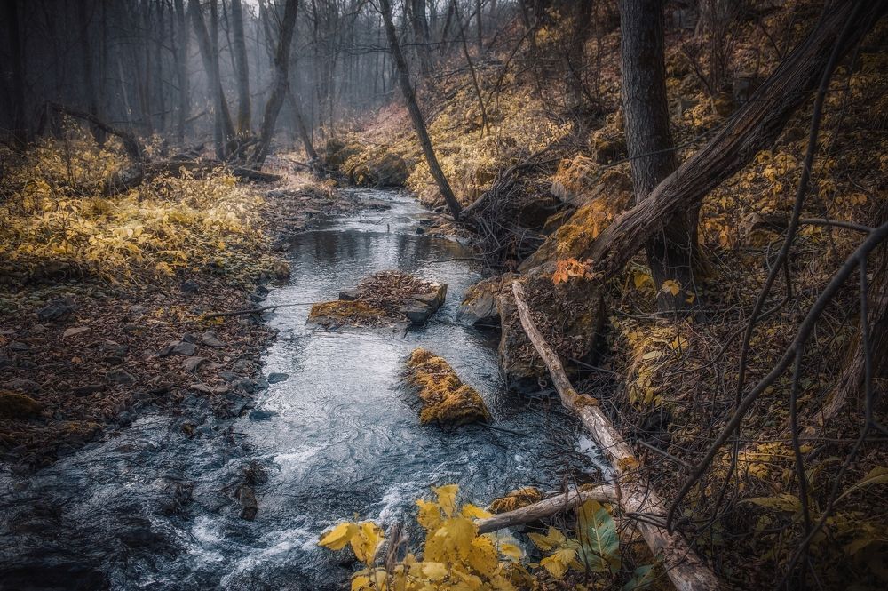 Photograph by Елена Раздвилова