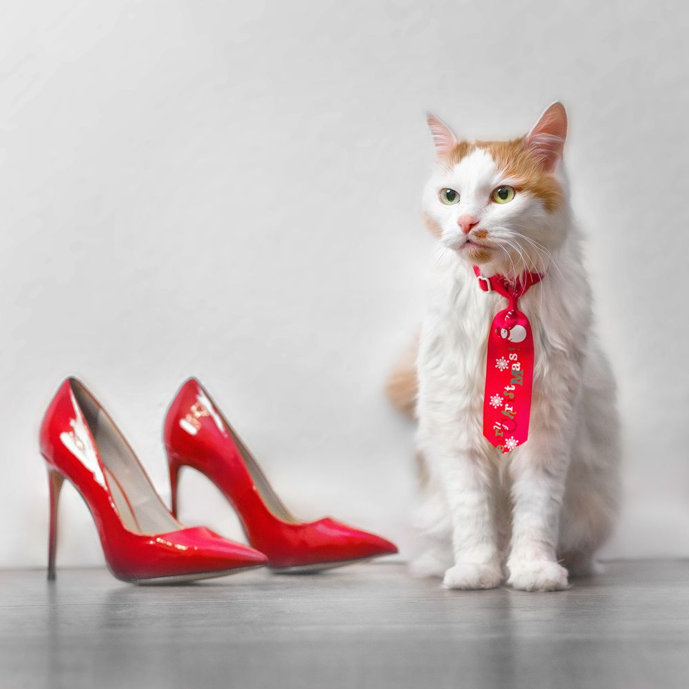 Фотография автора Eugenia Tuzova