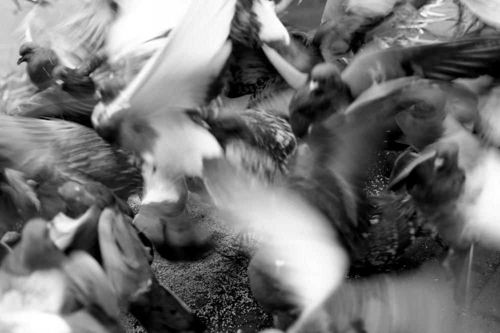 Photograph by Владимир Белобаба