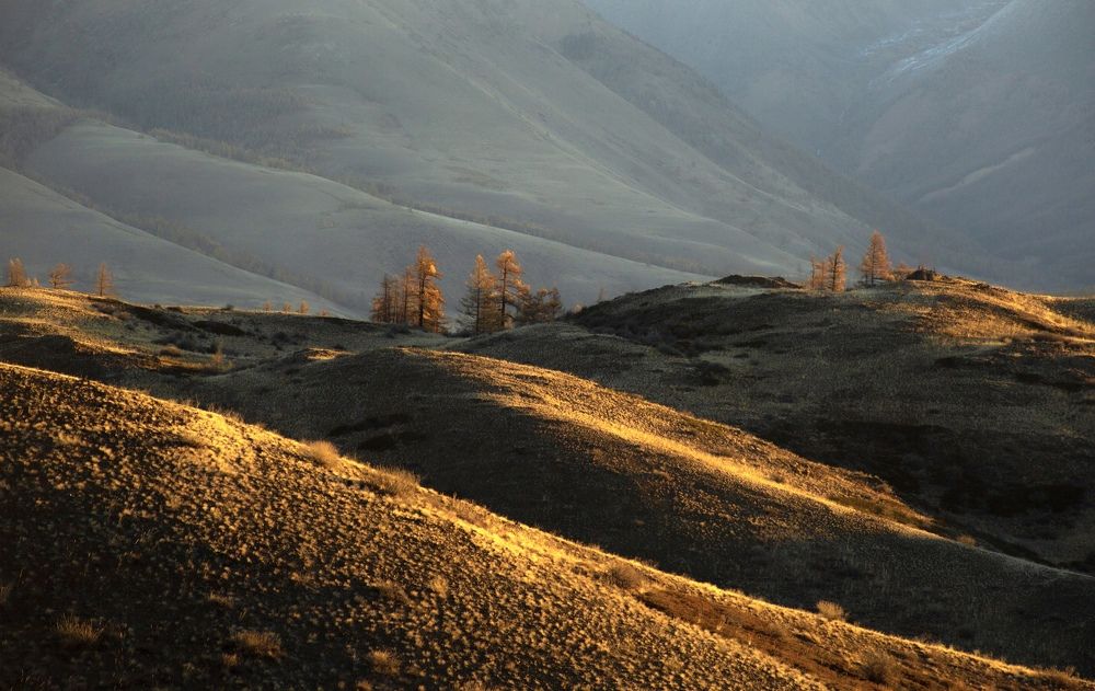 Photograph by Марина Бузина