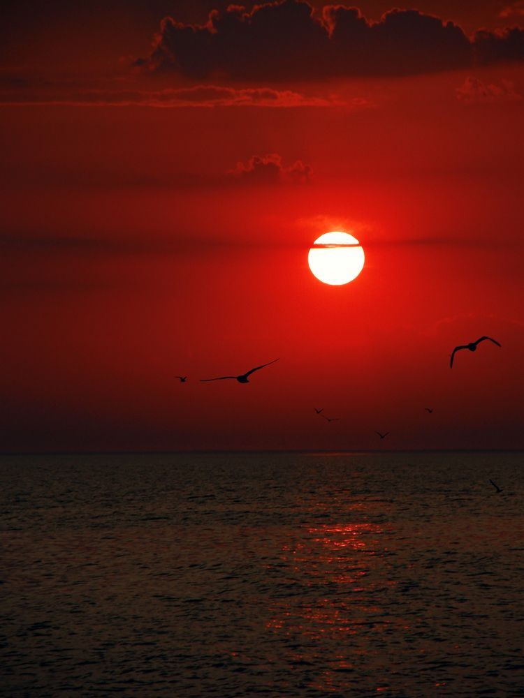 Photograph by Игорь Капустин