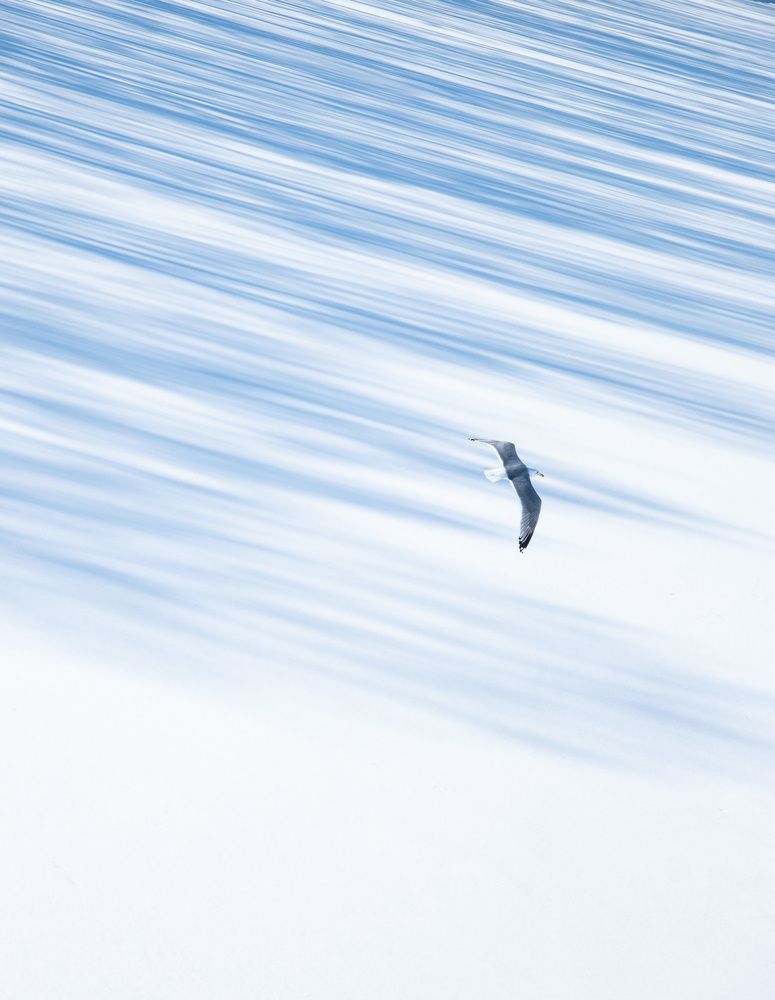 Фотография автора Рохмистрова Мария