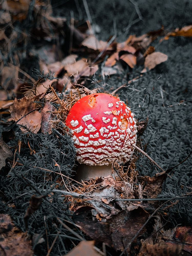 Фотография автора Ольга Савочкина