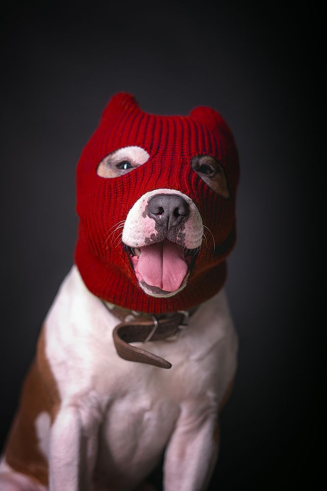 Photograph by Яковлева Лора Алексеевна