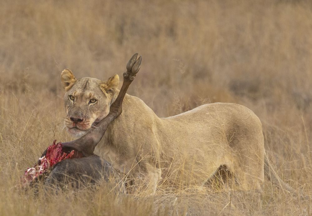 Photograph by PRATYUSH HALDER