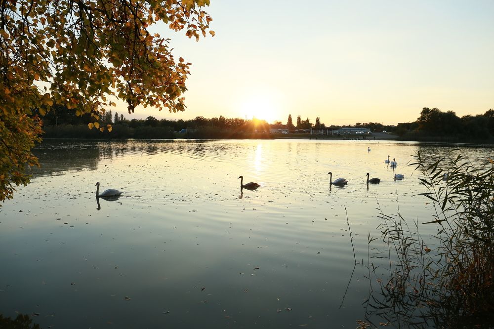 Photograph by Елена Катунина