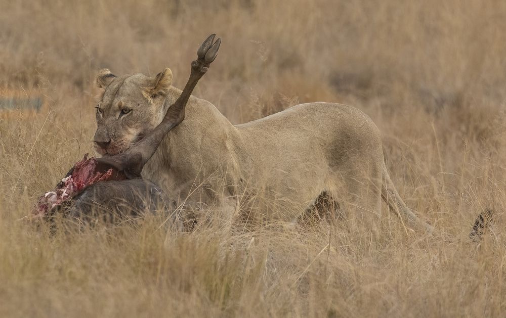 Photograph by PRATYUSH HALDER