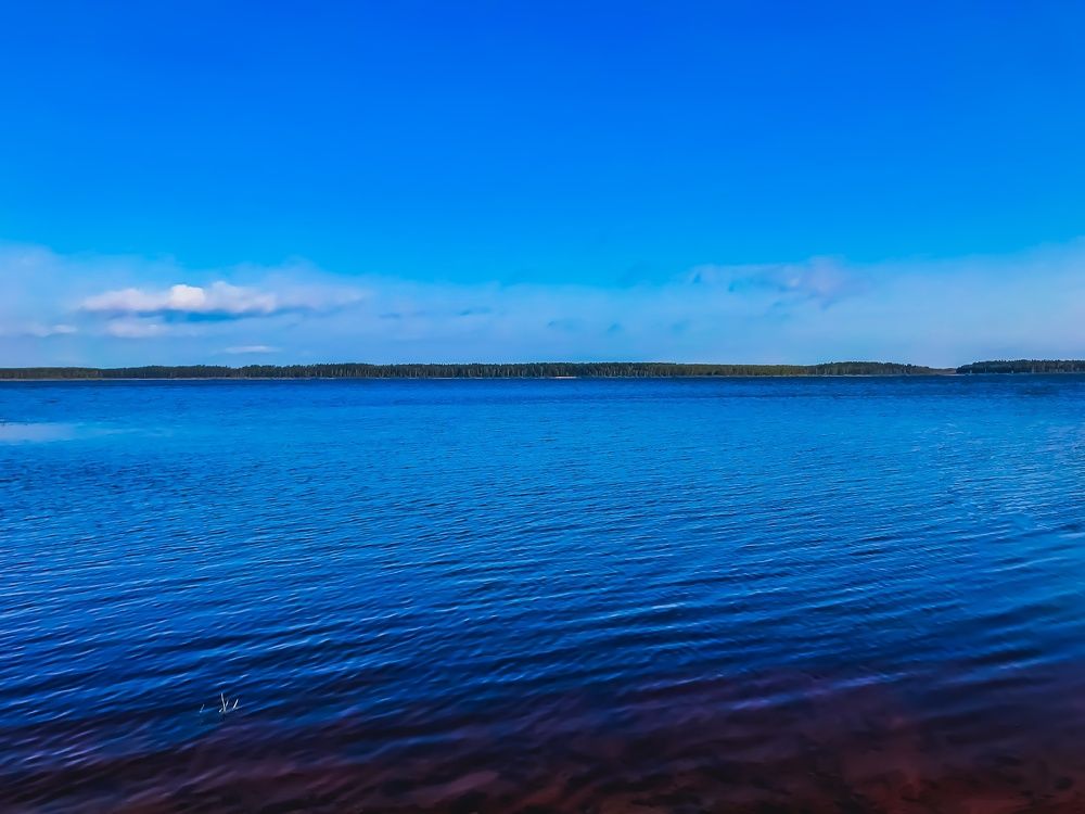 Photograph by Максим Комиссаров