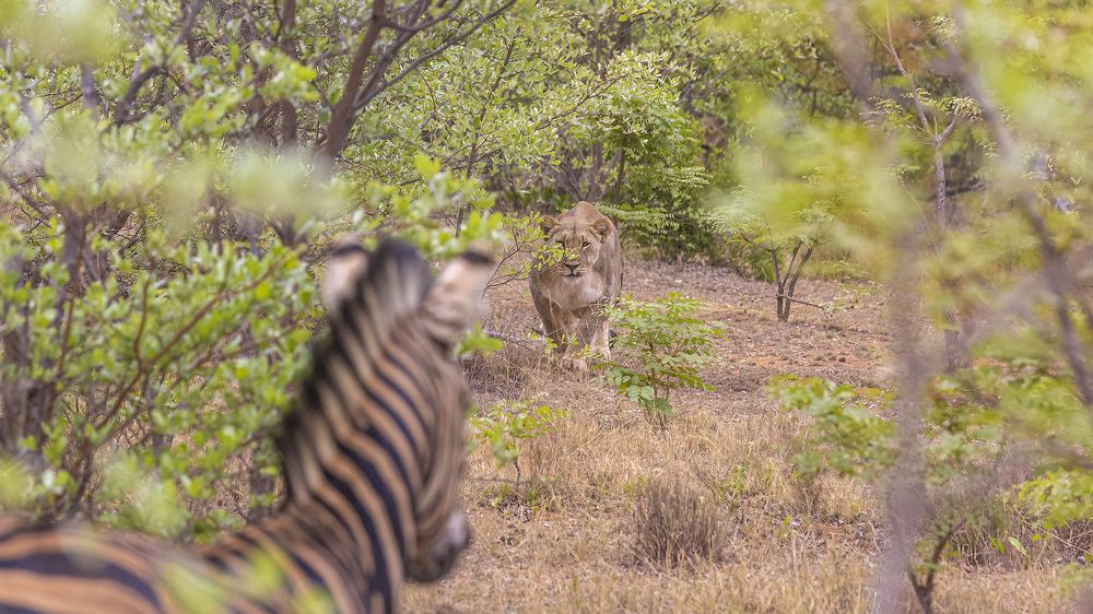 Photograph by PRATYUSH HALDER