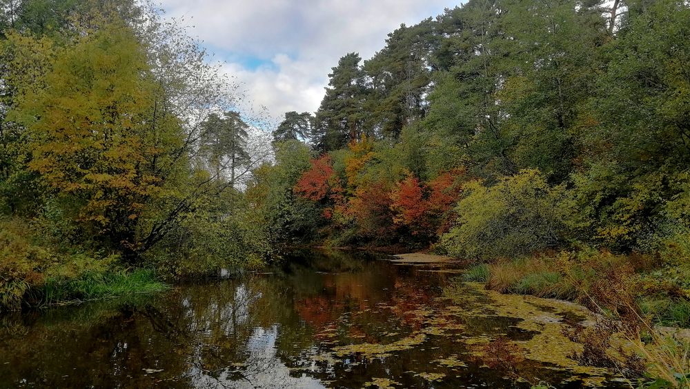 Photograph by Филиппов Олег