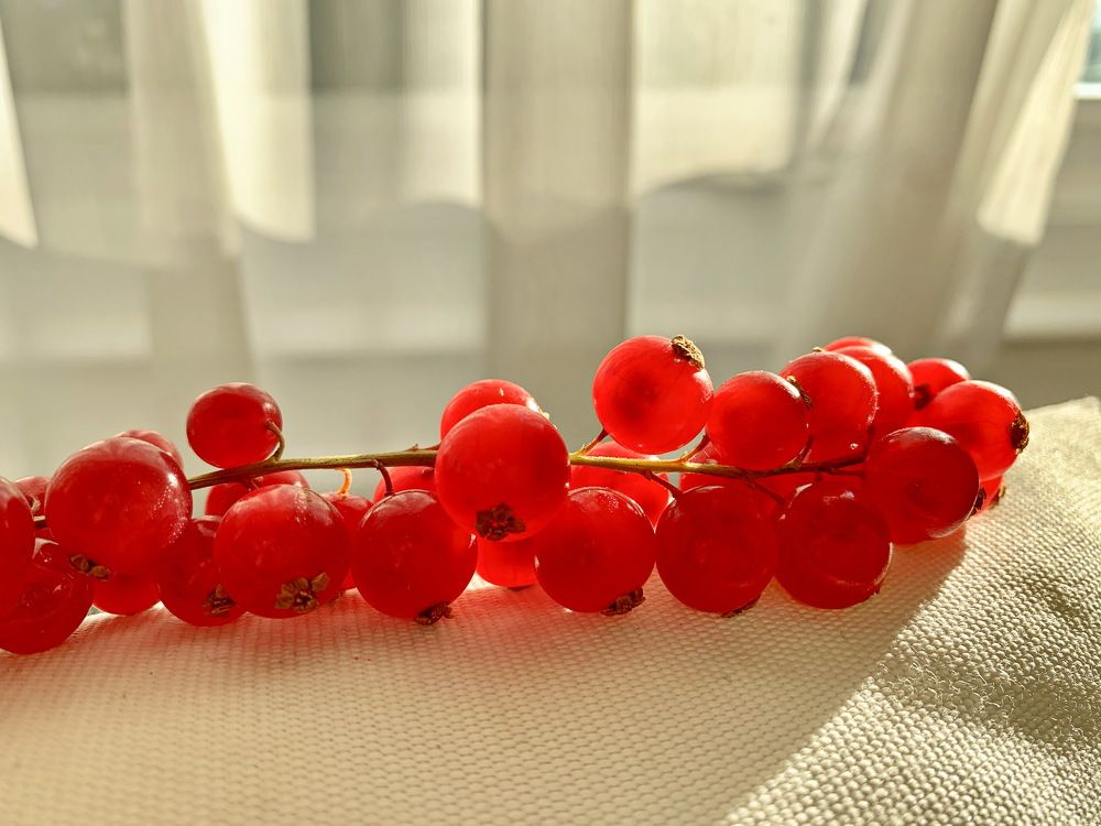 Photograph by Tatiana Serova