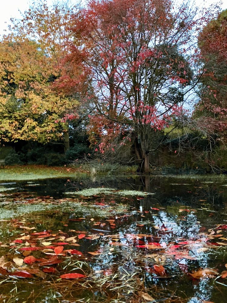 Photograph by Tatiana Serova