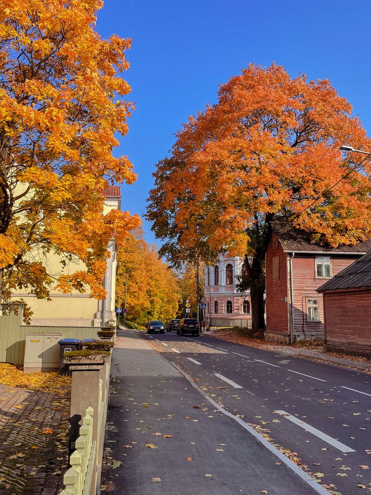 Photograph by Бадаев Антон