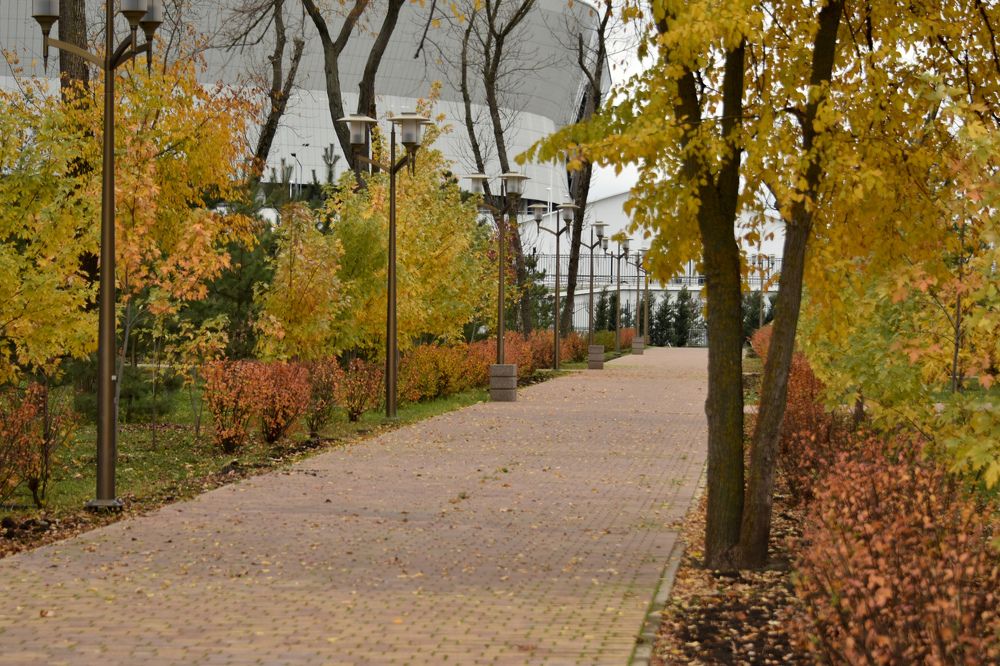 Photograph by Светлана Войта