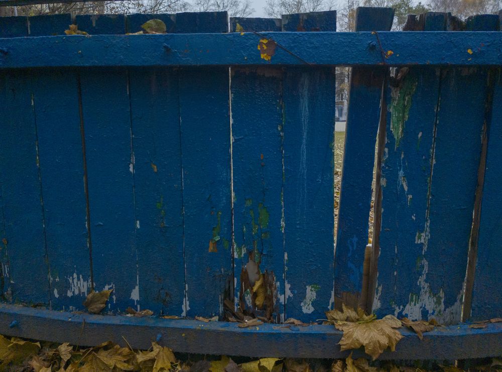 Photograph by Елена Можар