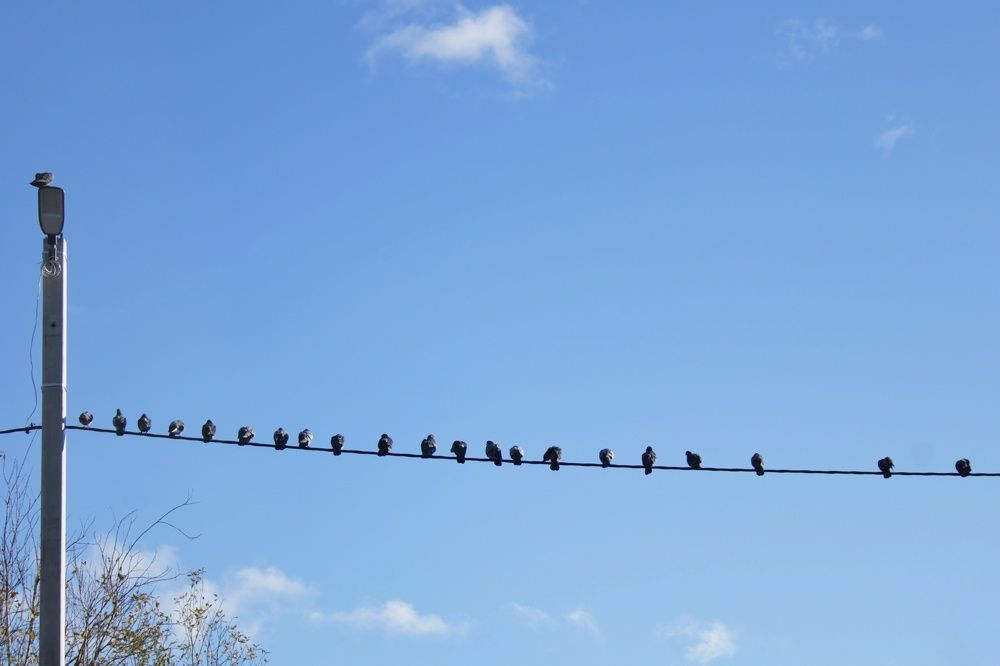 Photograph by Екатерина Михеева