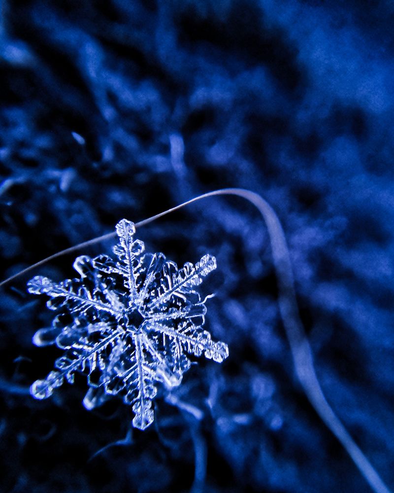 Photograph by Наталья Балабанова