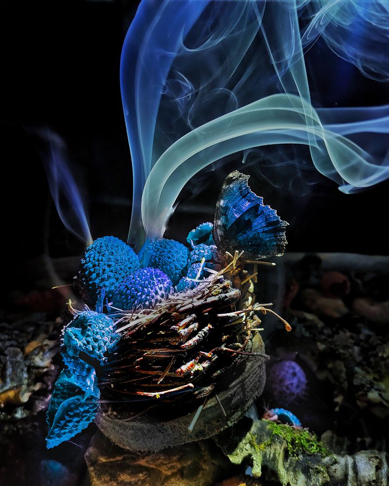 Photograph by Наталья Балабанова