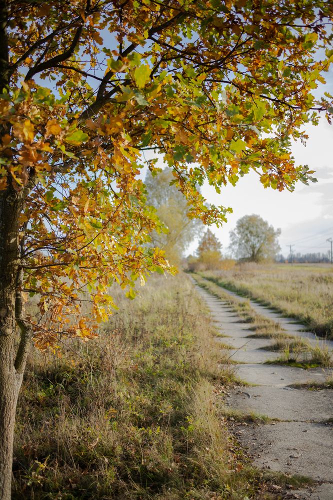 Photograph by Александр Васин
