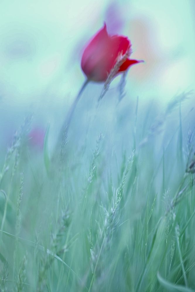 Photograph by Ольга Одаренко