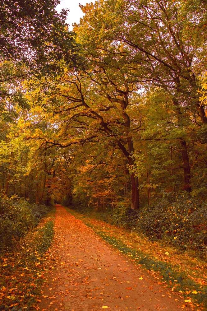 Photograph by Vitalii Kaznin