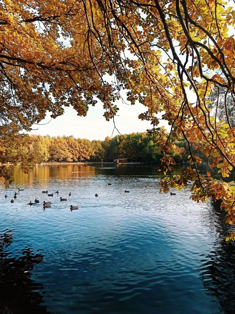 Photograph by Анна Савина