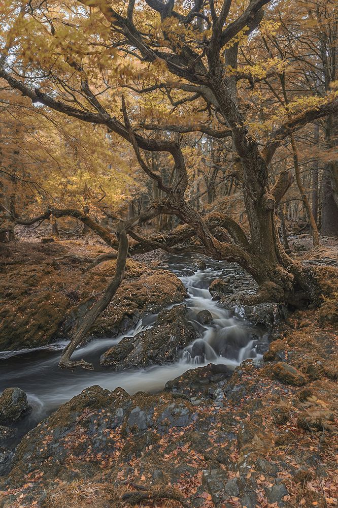 Photograph by ken duke