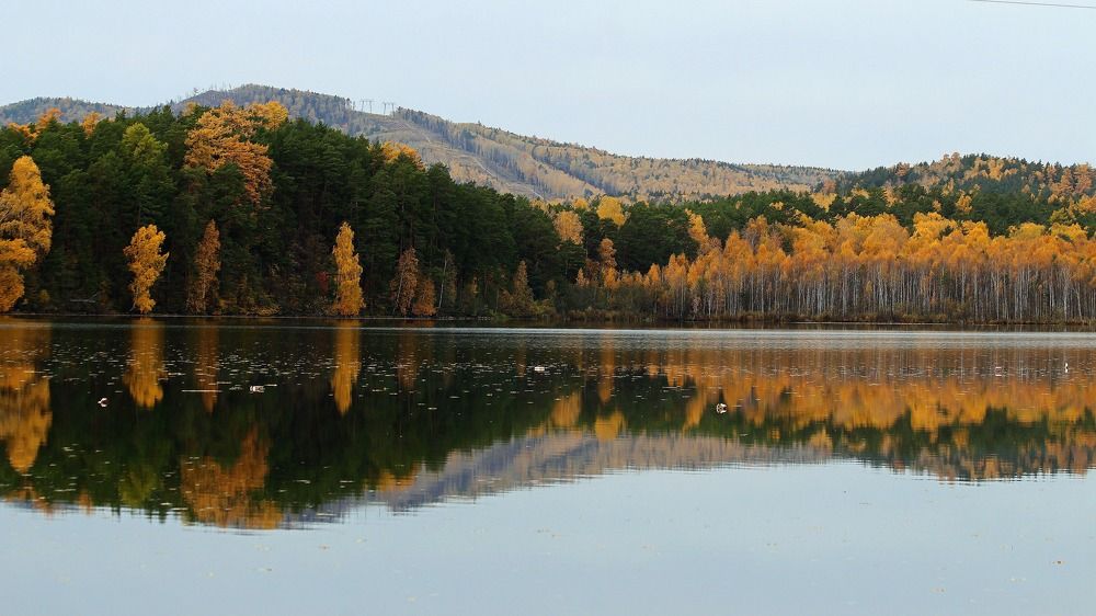 Зеркало природы