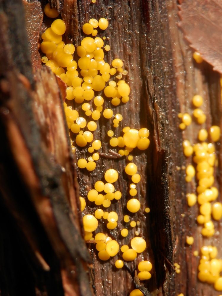 Photograph by Георгий Салюков