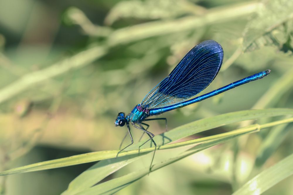 Photograph by Алена Полетаева