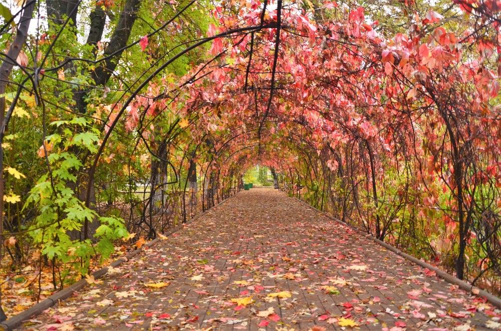 Photograph by Афанасьев Владимир