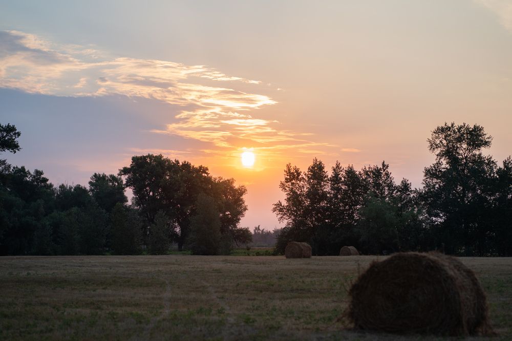 Photograph by Екатерина Панина