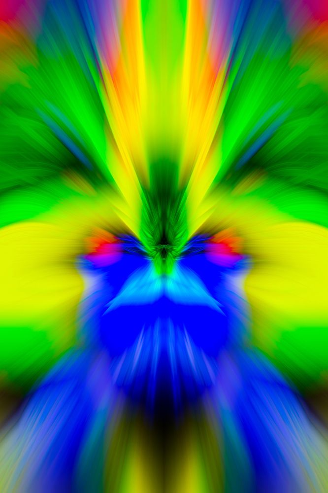 Photograph by Régis Santos