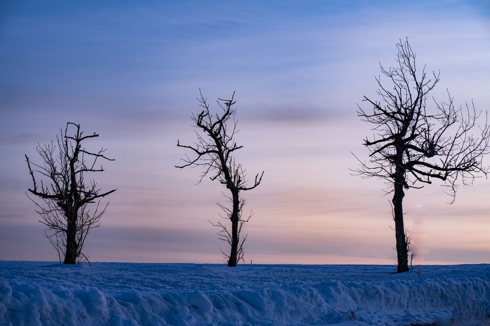 Photograph by Анжелика Костин