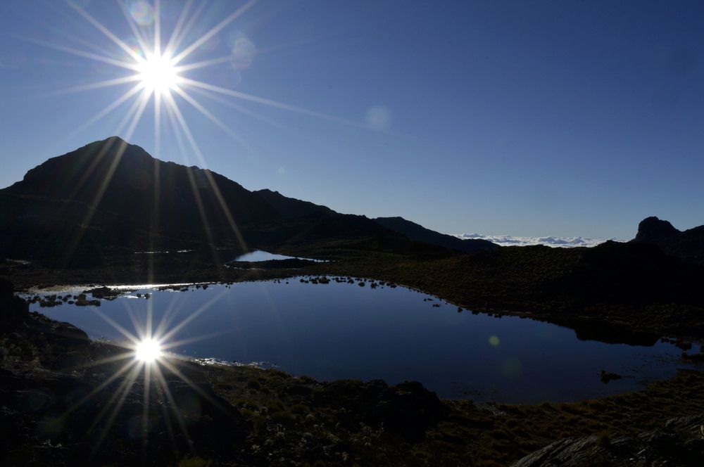 Photograph by Eli Larrucea