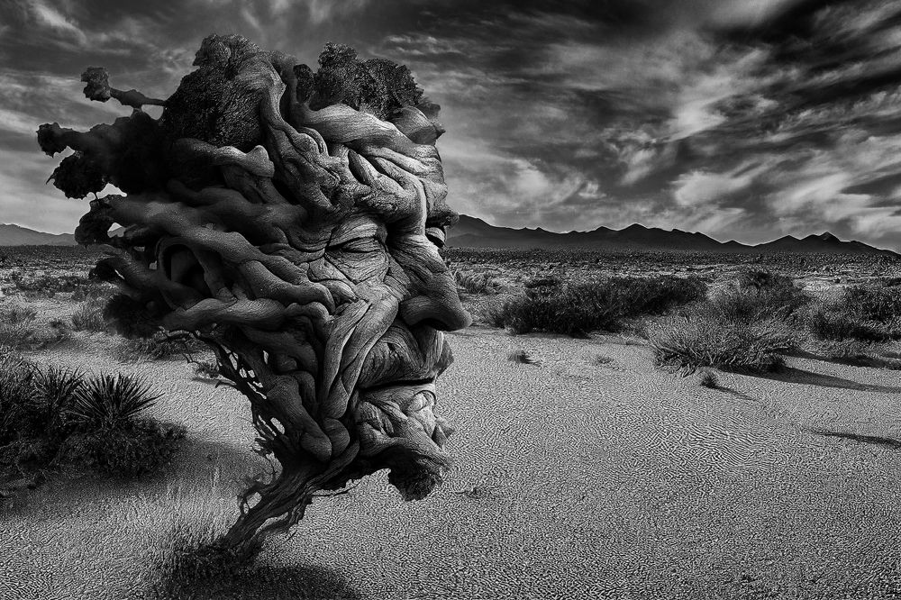 100 años de soledad