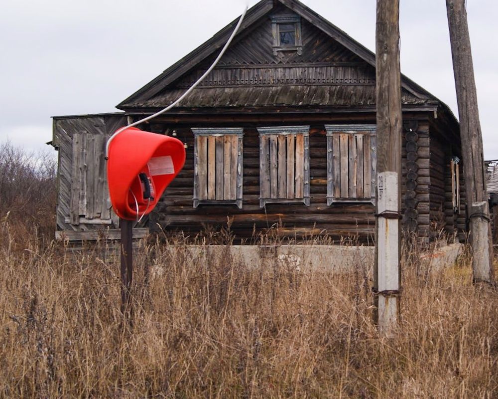 Photograph by Светлана Моисеева