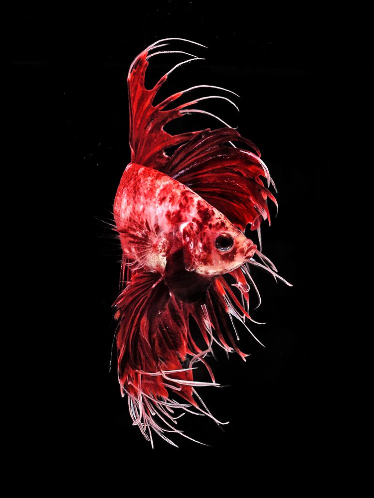 Photograph by Heri Wardana