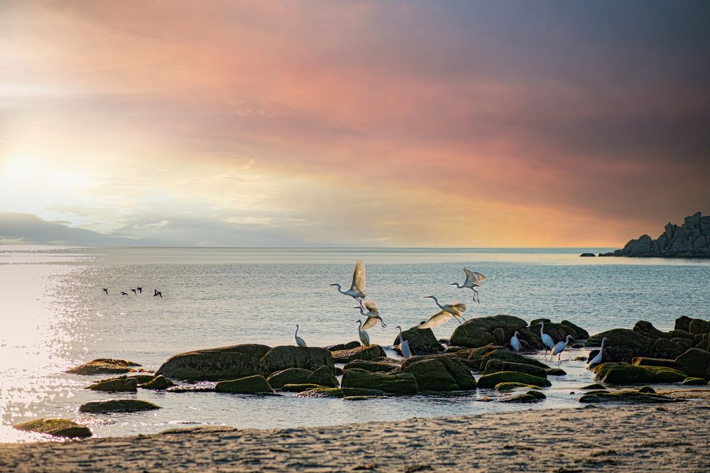 Photograph by Алена Литвин