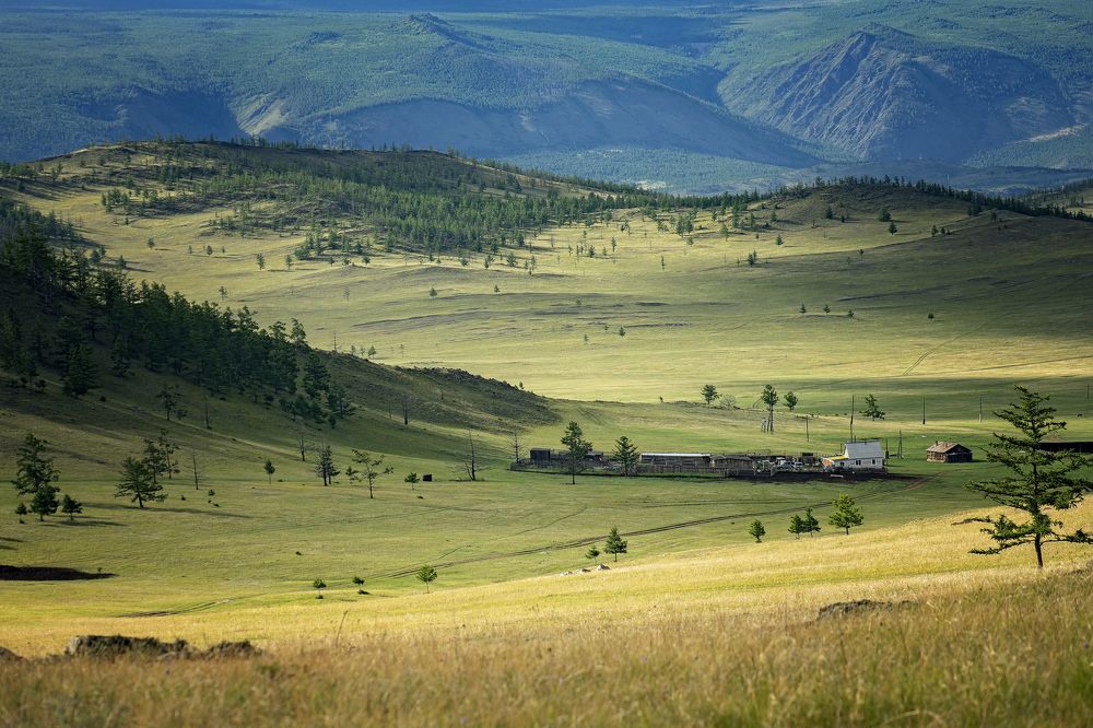 Photograph by Алена Литвин