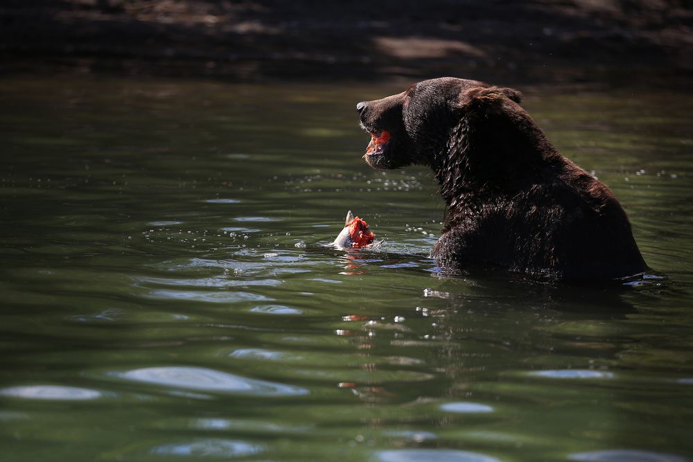 Photograph by Виктор Смирнов