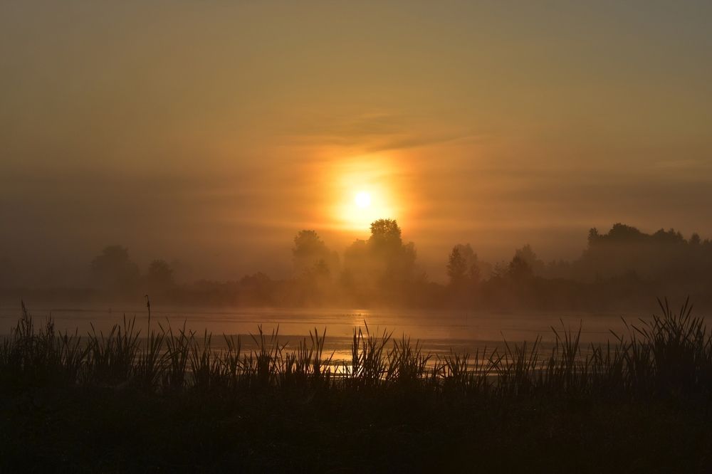 Photograph by Овечкин Павел