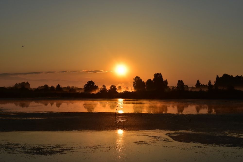 Photograph by Овечкин Павел