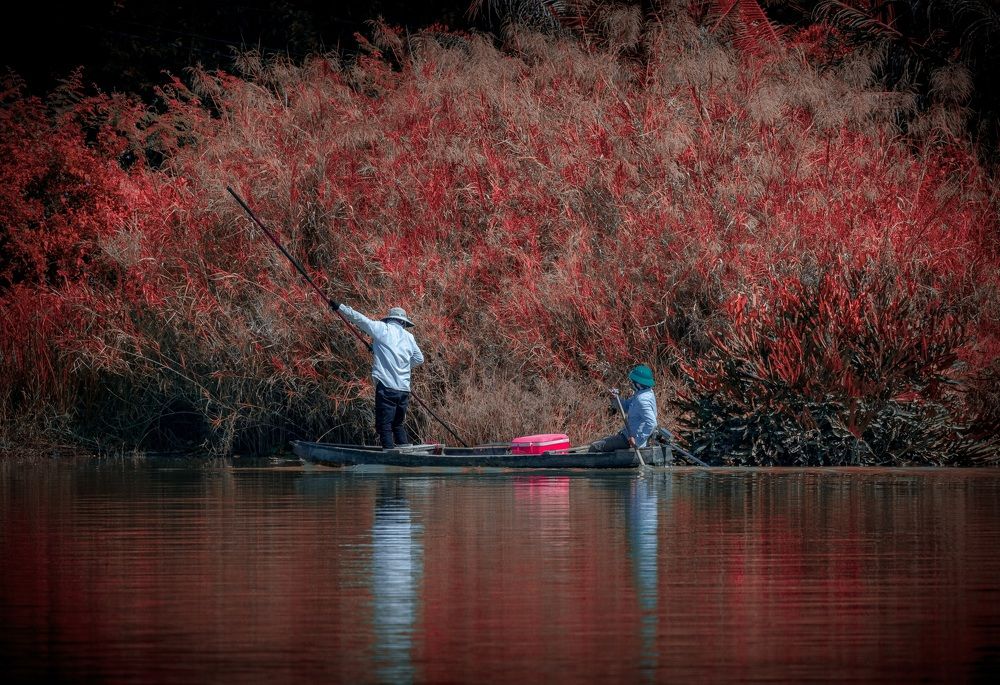 Photograph by Dũng Phùng