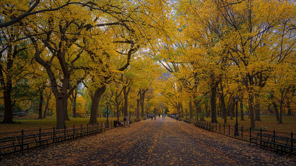 Photograph by Achintya Adhikari