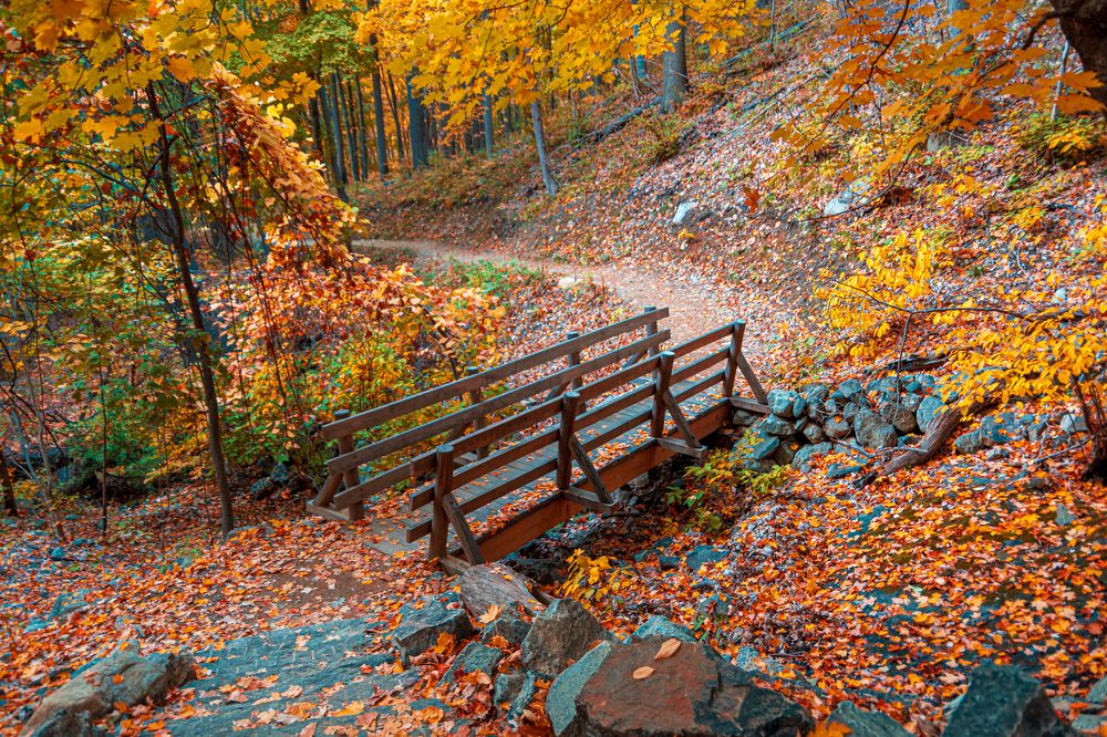 Фотография автора eric fonseca