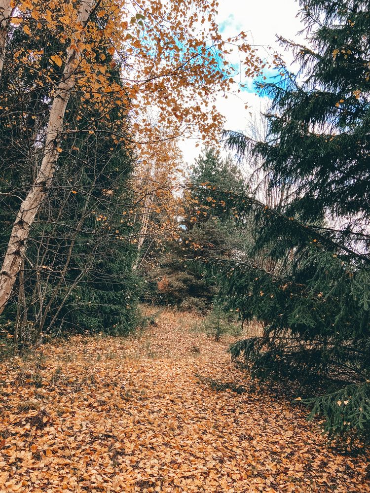 Photograph by Катерина
