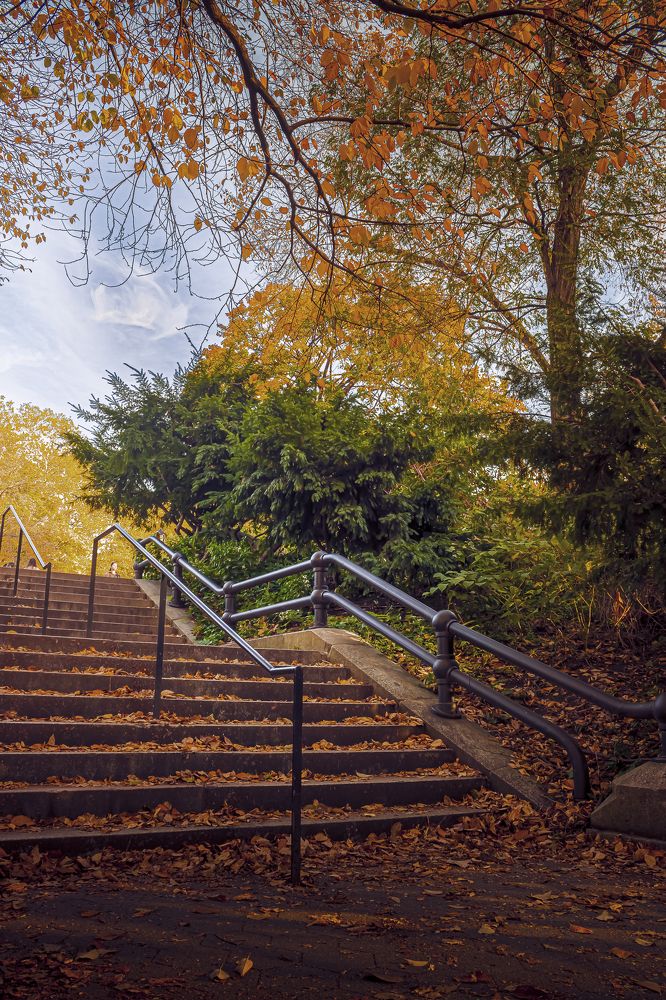 Photograph by Achintya Adhikari