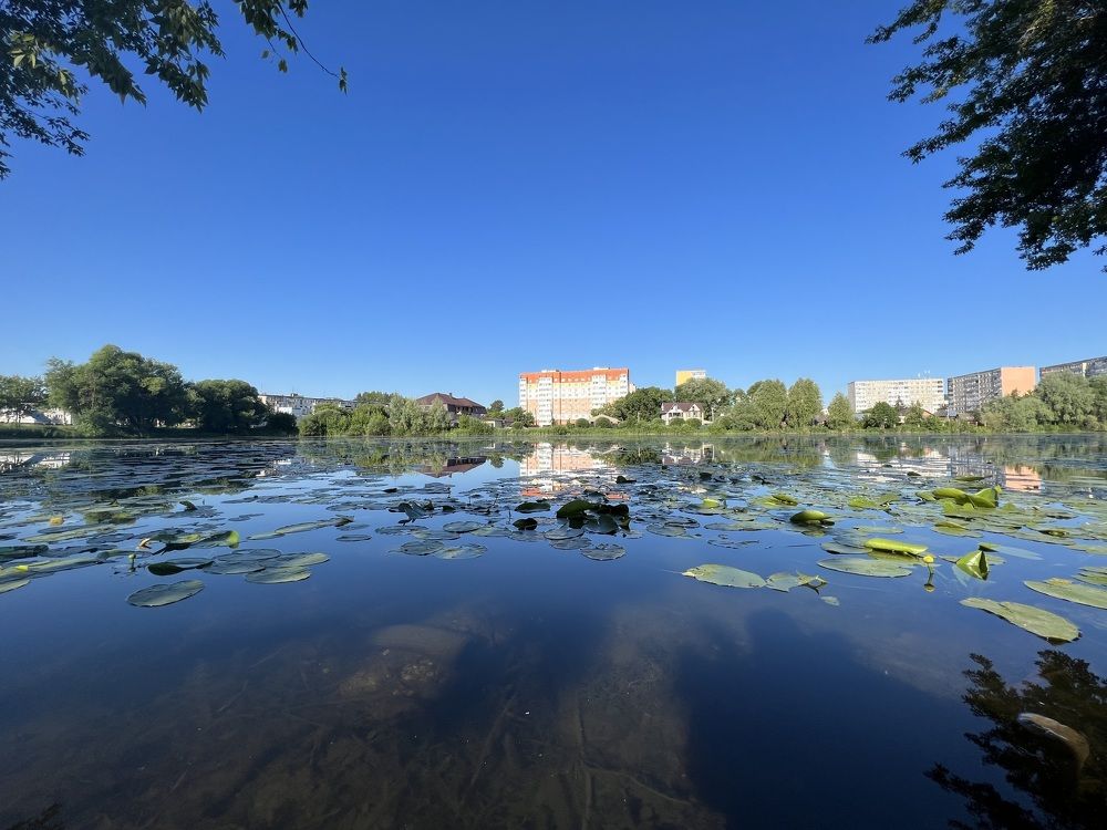 Photograph by Мария Мурзина