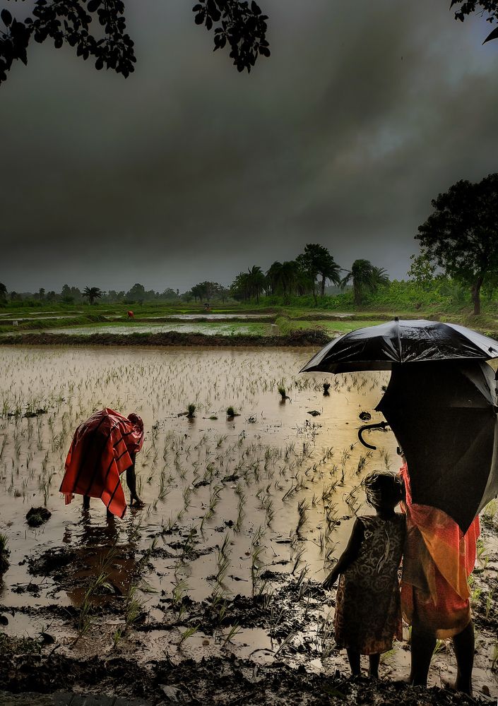 Фотография автора Subhadeep Chakraborty